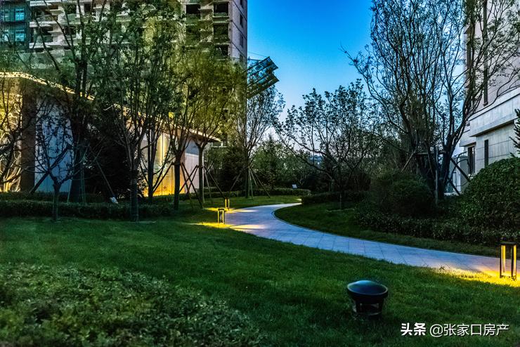 张家口市园林管理局最新招聘概览