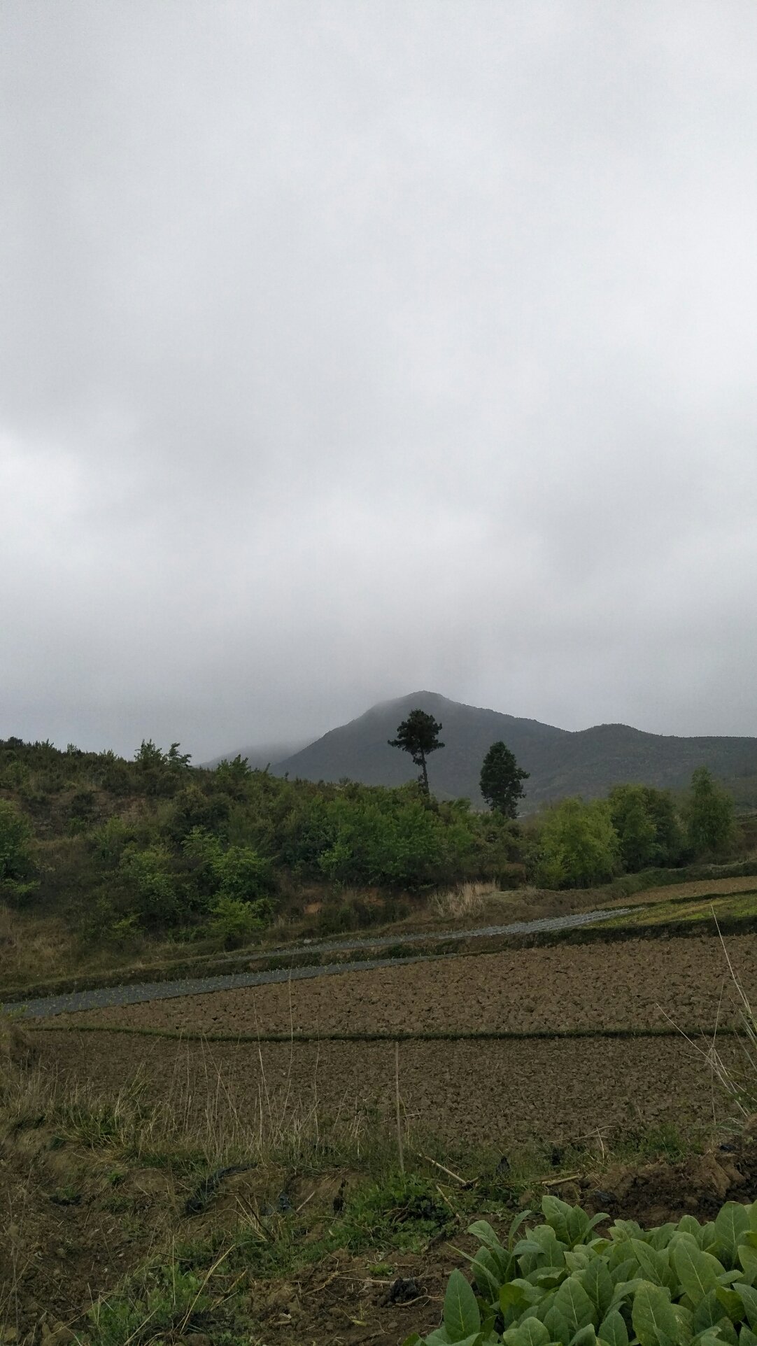 龙石村天气预报更新通知