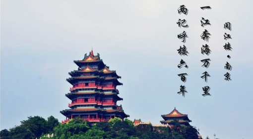 阅江楼街道交通优化升级，打造宜居出行新环境