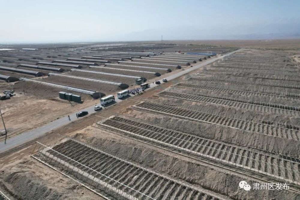 石羊河林业总场葡萄产业中心生活区交通动态更新