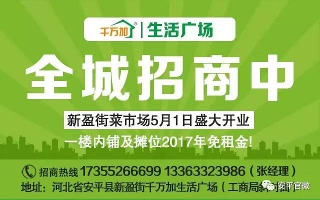 西湖区人力资源和社会保障局最新招聘信息概览，职位空缺与任职要求全解析
