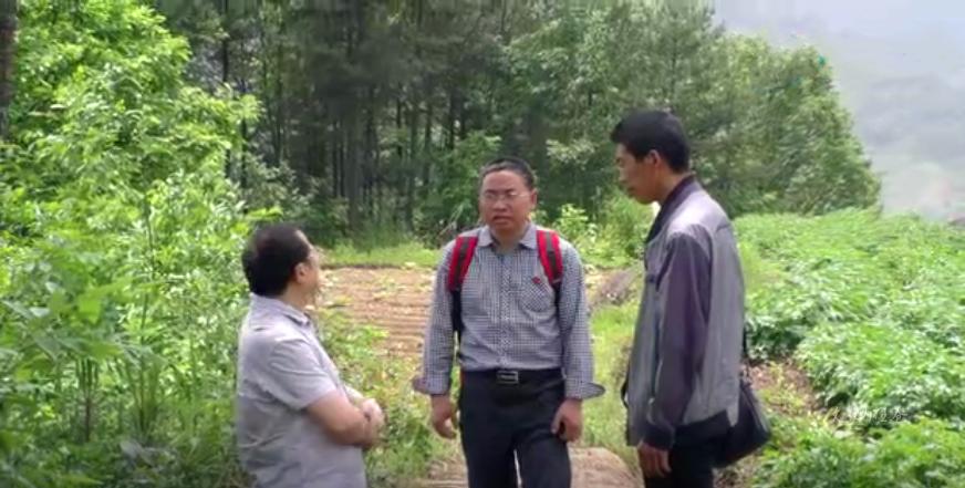朝天区市场监督管理局发布最新动态