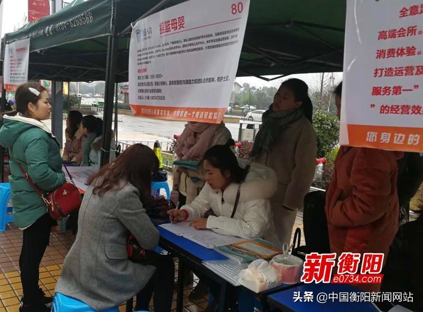 蒸湘区退役军人事务局招聘启事，最新职位与要求全解析