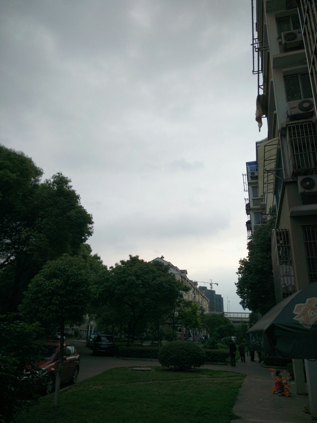 星河路社区天气预报与生活指南更新发布