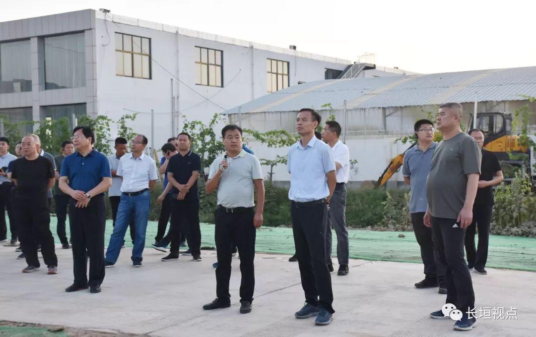 赵堤乡最新新闻速递