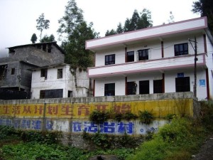 芦家湾村民委员会新项目启动，乡村振兴新篇章